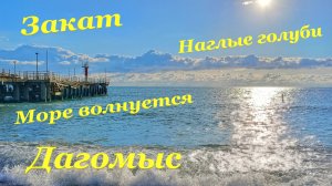 Похолодало😩/  Река после дождей🏞/ Море волнуется🌊/ Наглые голуби🕊/ Красота заката🌅/ Дагомыс❤