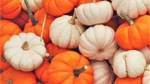 Кратенький рецепт фаршированных тыкв