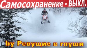 Снегоходы в руках Профи! Эд Кедринский, Эркин, и я от страха влупил в дерево!  #Снегоходы #Polaris #