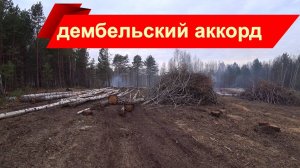 Заготовка дров подошла к концу.  Уборка лесной деляны.