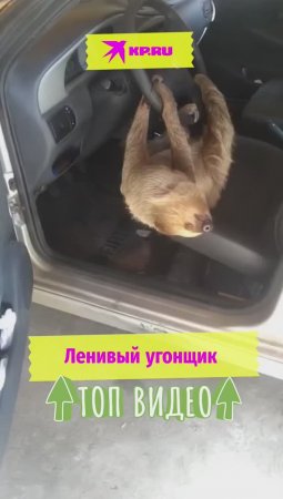 Ленивый угонщик