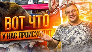 ТАЙНЫ компании TSD! Жизнь вне камер I РЕМОНТ, ПРИКОЛЫ, МЕДВЕДЬ, СЕКРЕТЫ, ответы на все вопросы...