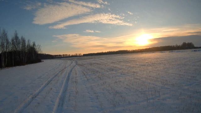 Закрытие загонных охот на косулю 2022