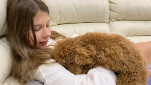 6768604-hd_1920_1080_30fps