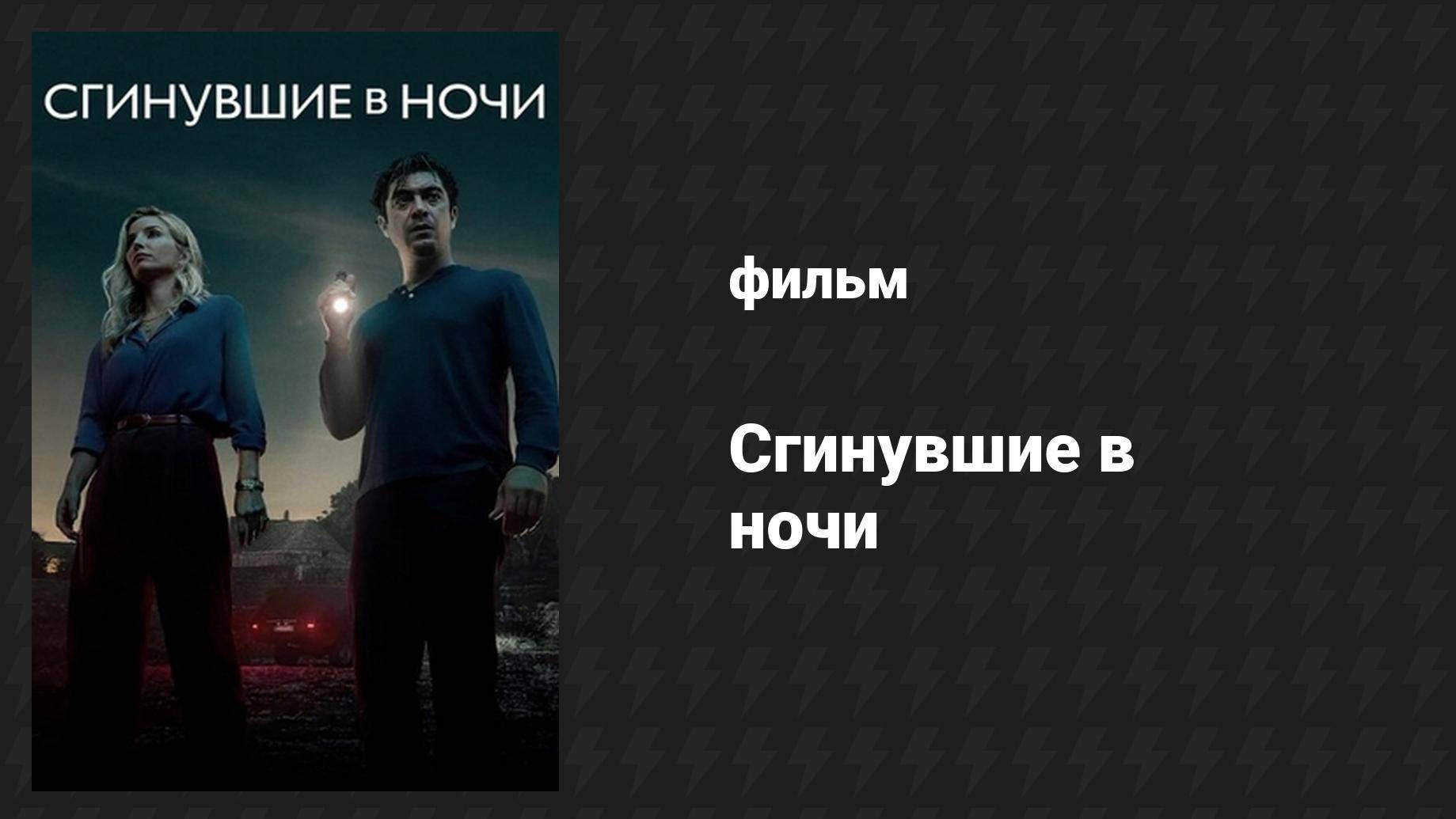 Сгинувшие в ночи (фильм, 2024)