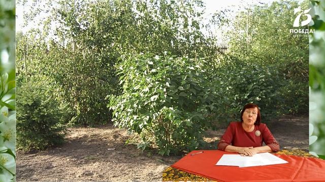 Викулин Николай Павлович