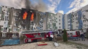 Новости Старого Оскола от 5 ноября