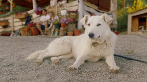 5126331-uhd_4096_2160_24fps