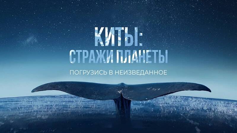 Киты: Стражи планеты