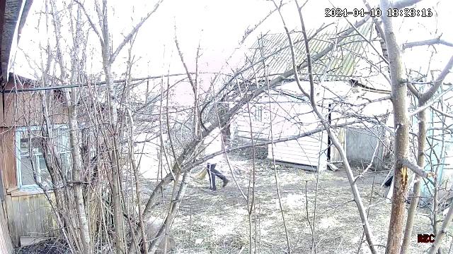 бесы
