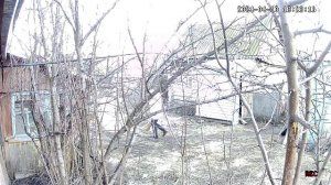 бесы