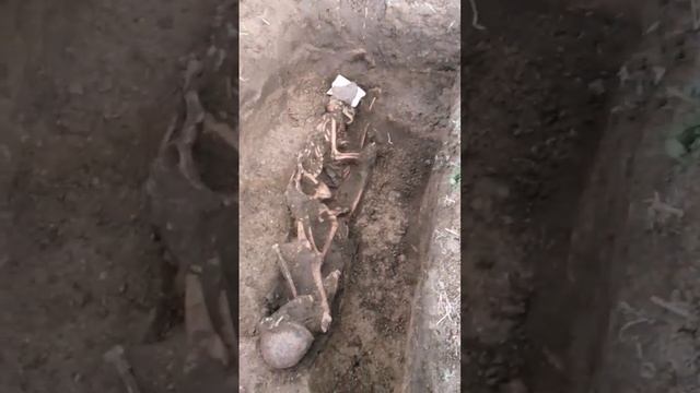 Сталинград 2023 Вахта памяти