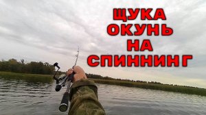 Захватывающие кадры! Щука, окунь преследуют и атакуют приманки. Подводная съемка