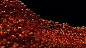 Рекламный ролик для компании экологически чистых продуктов от digital агентства "Frenders"