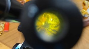 КАЛИНИНГРАД, прогулка по городу, часть 1-ая