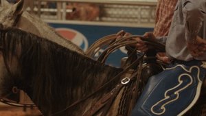 7353112-uhd_3840_2160_24fps