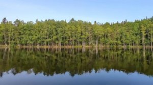 СОЛОВКИ: Озёрно-канальная система острова (Релакс-фильм)