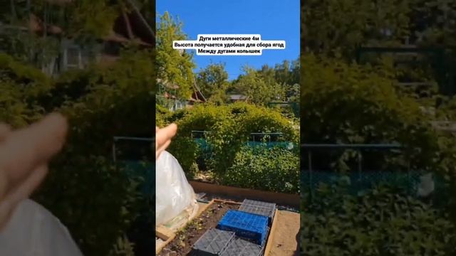 Малина арками