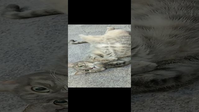 ИСКА. РЕЛАКС ПОСЛЕ ЗАВТРАКА
05.11.2024