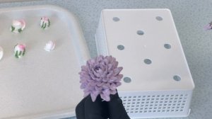 Торт сердце с мимозой, нарциссами, розами и хризантемой(крем БЗК).