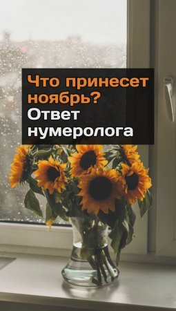 Что принесет ноябрь? Ответ нумеролога