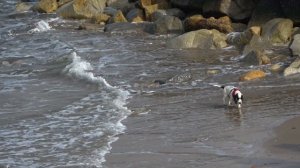 7161979-uhd_3840_2160_25fps