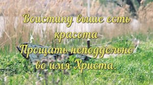 Во имя Христа (караоке)