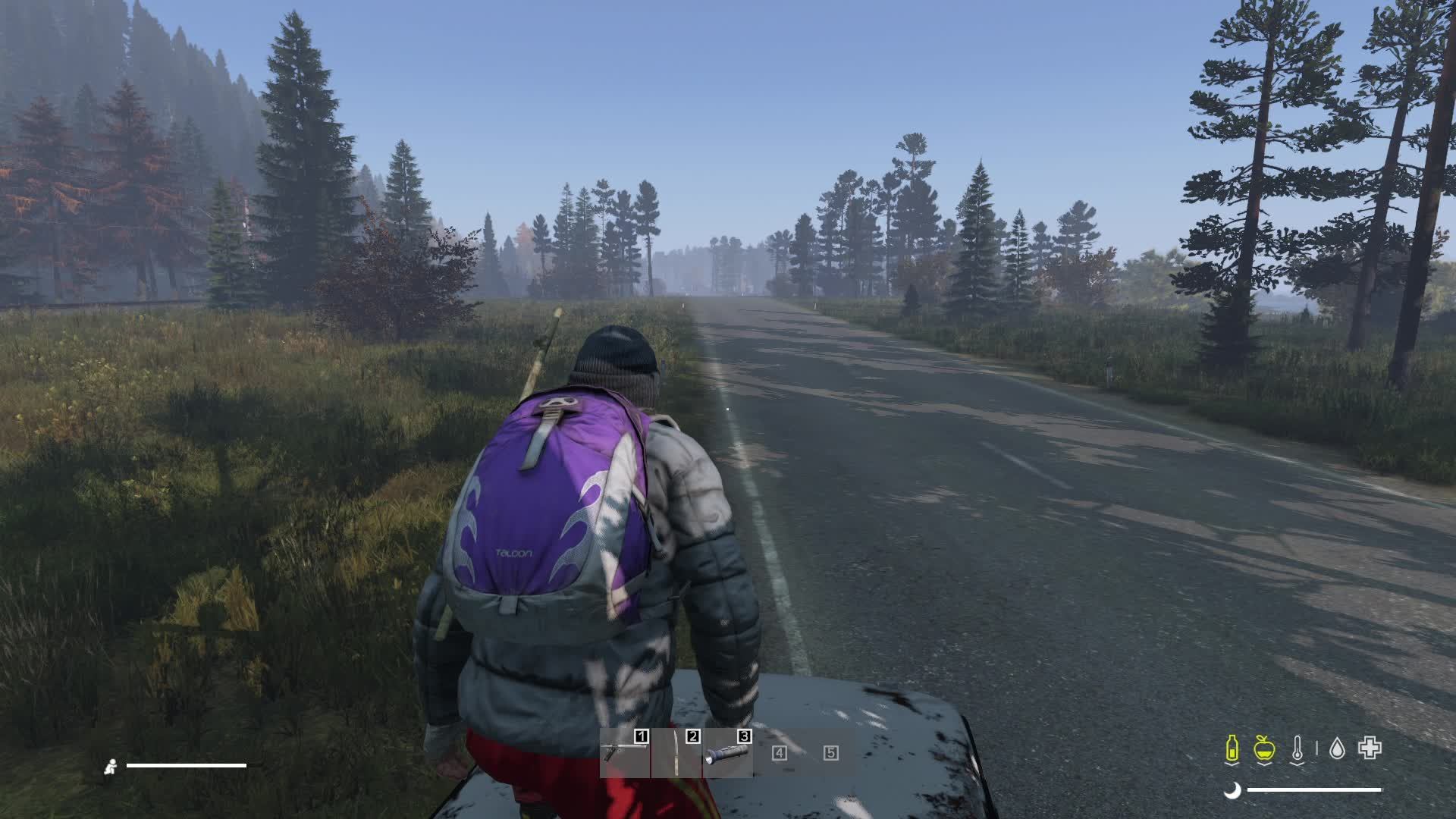 Dayz Вдали от жен Самого начала