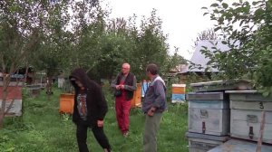 Обзор заброшенной пасеки Ч.3.