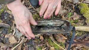 Урочище Жулино, Шаблыкинский район, Орловская область