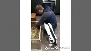 Я под контролем.