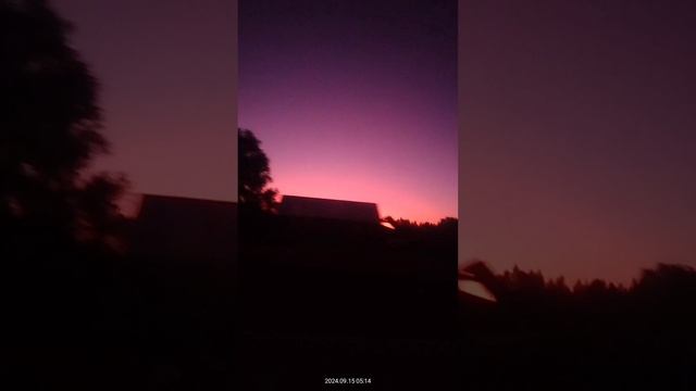 1000025604.mp4