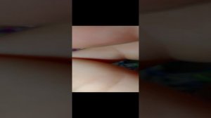 браслеты из резинок