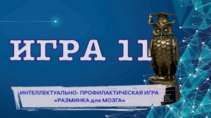 11 Игра  2024 интеллектуально-профилактическая игра «Разминка для мозга»