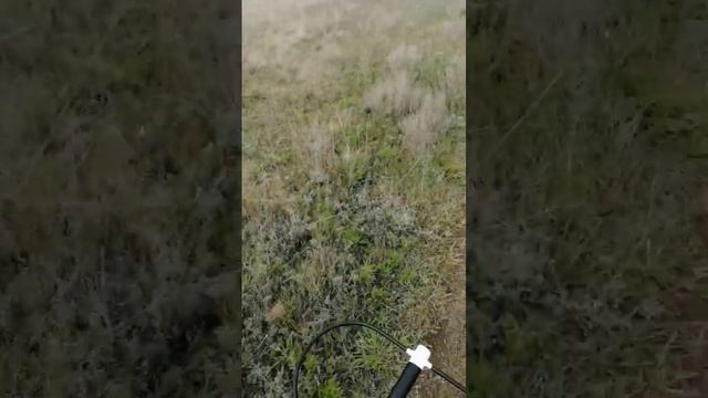 25 апреля 2023 г.