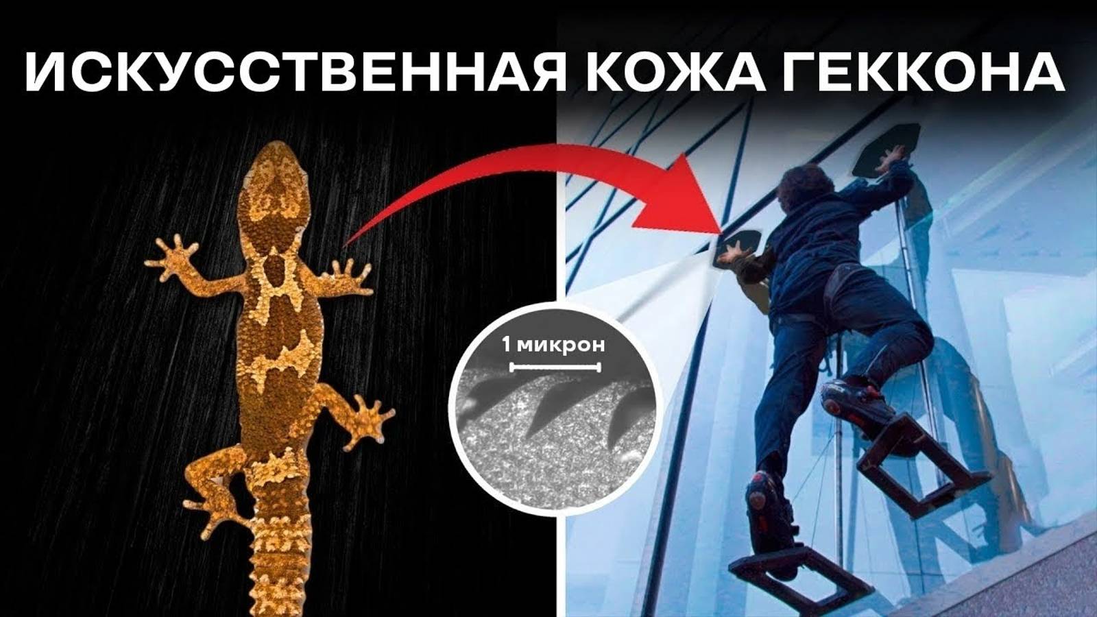 Этот материал позволяет ползать как геккон смотреть онлайн