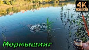 Мормышинг. Фазантейл с флуоресцентной головой...