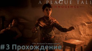 A Plague Tale: Innocence - 3 Лука