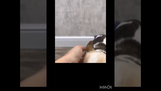 Выходные