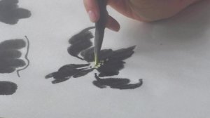 2_Тренировка Ирис