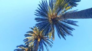 Ла-Корунья, старейший рабочий маяк в Мире + 4 минуты релакса  |  La Coruña, España - Spain