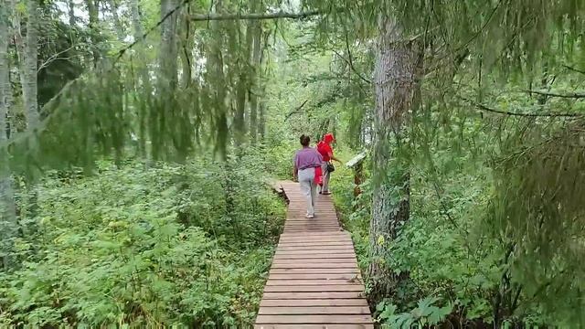 Масельга, Тропа раздумий, озеро Сердце и рыбалка на Лекшмозеро - Русский Север, день 7-ой смотреть онлайн