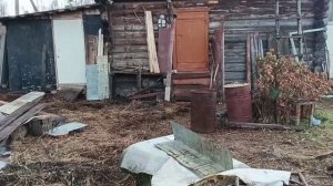 Обзор пасеки. Конец октября 2024.