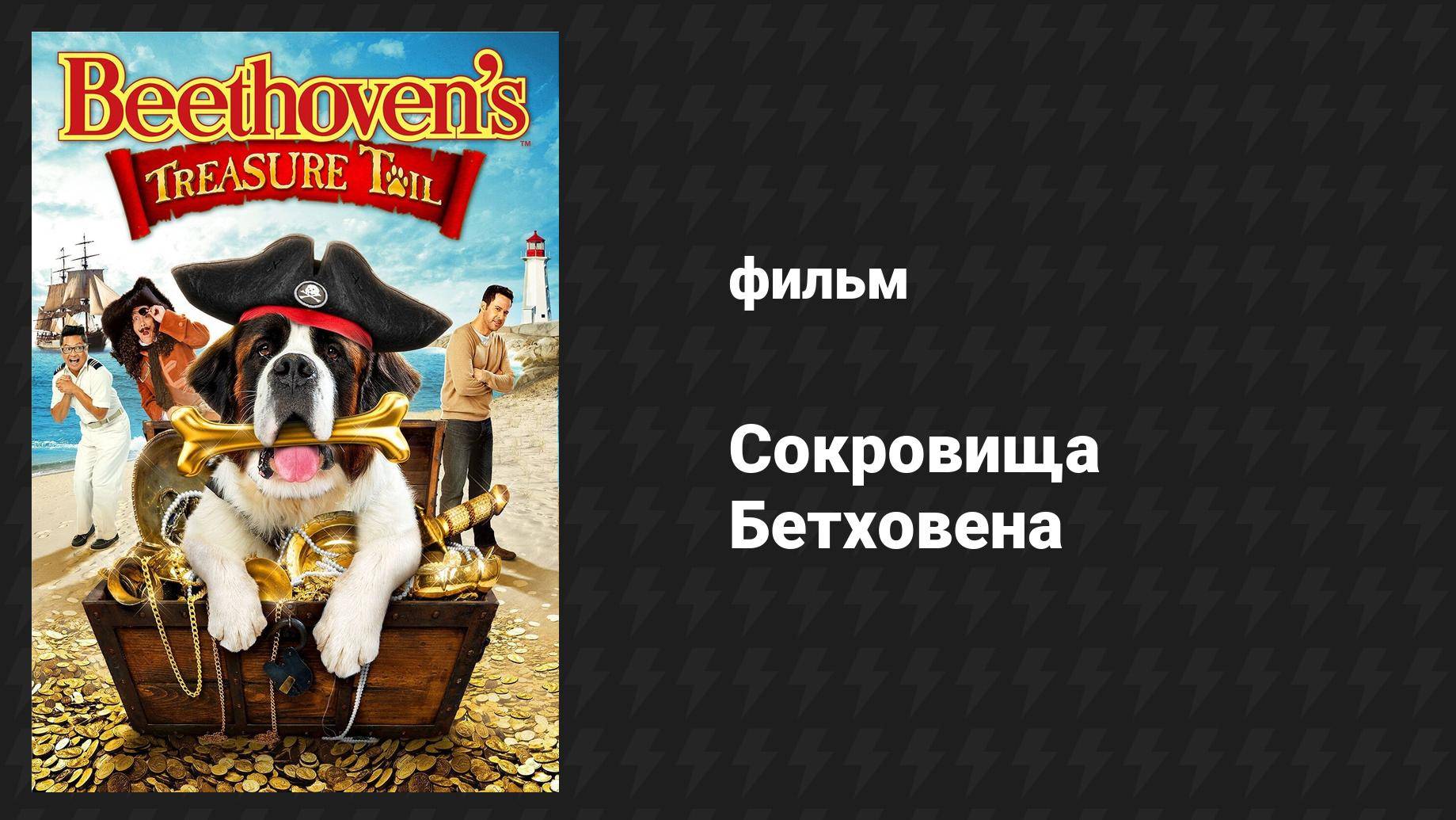 Сокровища Бетховена (фильм, 2014)