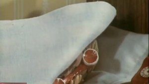 Будь моим слоном. (1976)