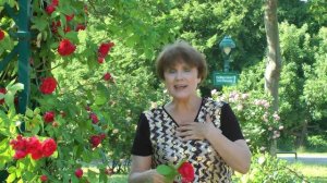 Tina Wedel "Ничего не бывает случайным" (Clip) - Автор и исполнитель