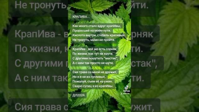 Крапива...