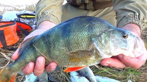 НАСТУПИЛА ОСЕНЬ! ХИЩНИК КЛЮЁТ НА КАЖДОМ ЗАБРОСЕ ! РЫБАЛКА НА ВОДОХРАНИЛИЩЕ! КЛЮНУЛ ОКоНЬ,Судак