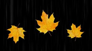 Hello autumn