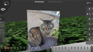 ставка на бутылку все видео